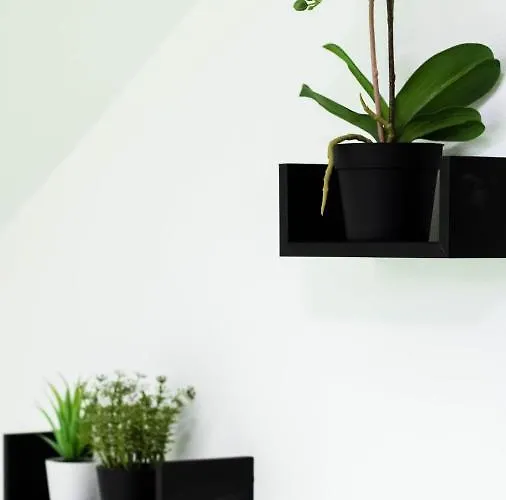 Aurora Hostel Požarevac